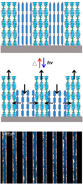 Figure 69