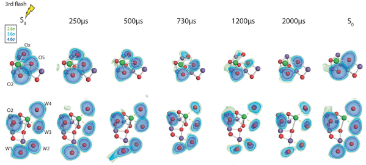Extended Data Fig. 1