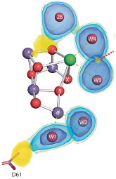 Extended Data Fig. 2