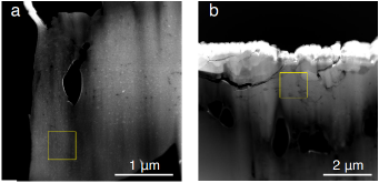 Extended Data Fig. 9