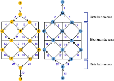 Fig. 10